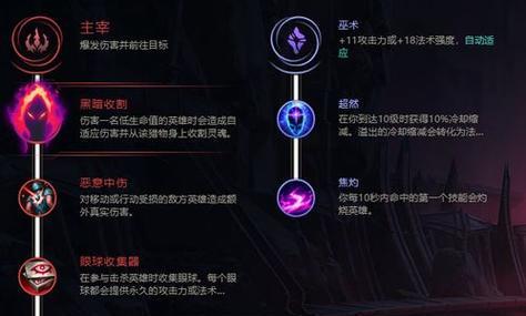 猫咪时尚玩家（探索猫咪时尚的乐趣，打造与众不同的猫咪造型）