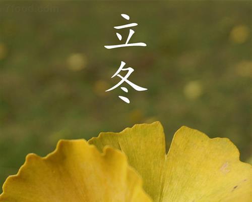 立冬技能配置攻略大全（掌握立冬时期的生活技能和调养方法，迎接寒冷季节）