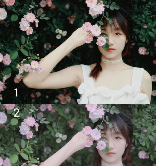 仙境之谜（一场奇幻冒险，解救被困仙女的秘密任務）