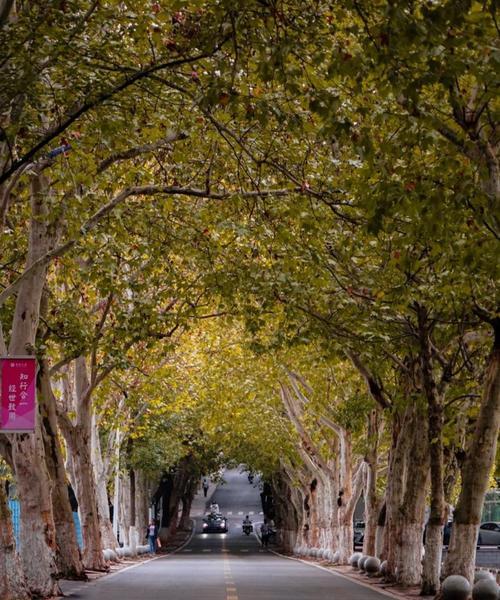 探索田舍路（发现隐藏在田舍路中的秘密，成为校园游戏的王者！）