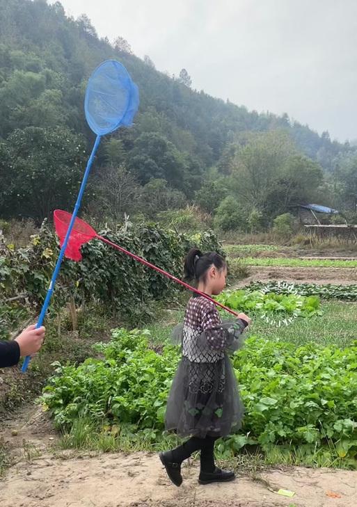 探索乡间生活的乐趣——《乡间生活记录》攻略（揭开乡间生活的秘密，享受田园的宁静与繁荣）