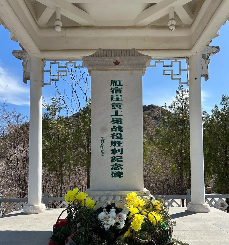 解读1939年战争攻略（挑战与策略）